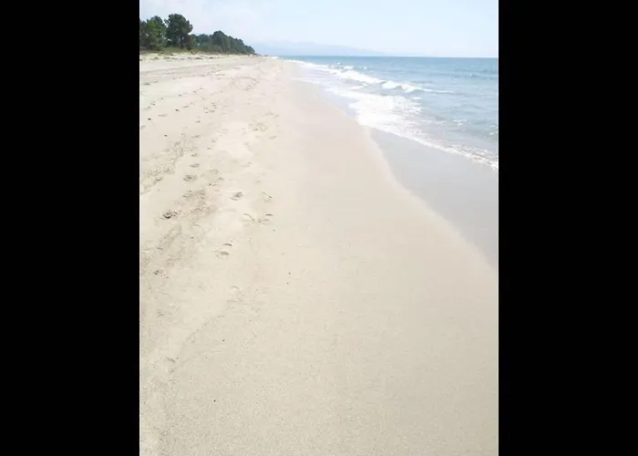 Four - 150 M From The Apartman