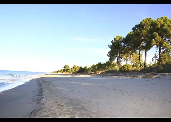 Apartman Four - 150 M From The Ghisonaccia